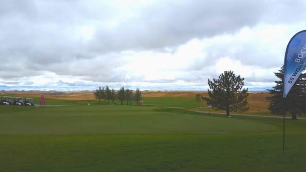 Bell Nob Scaled 1 1024x575