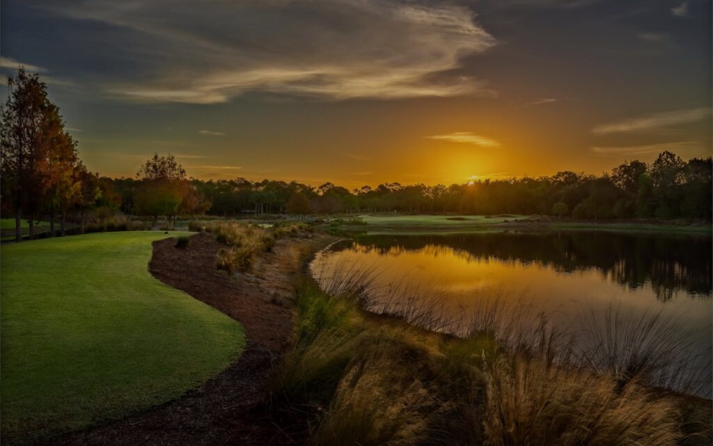 Tiburon Black Course