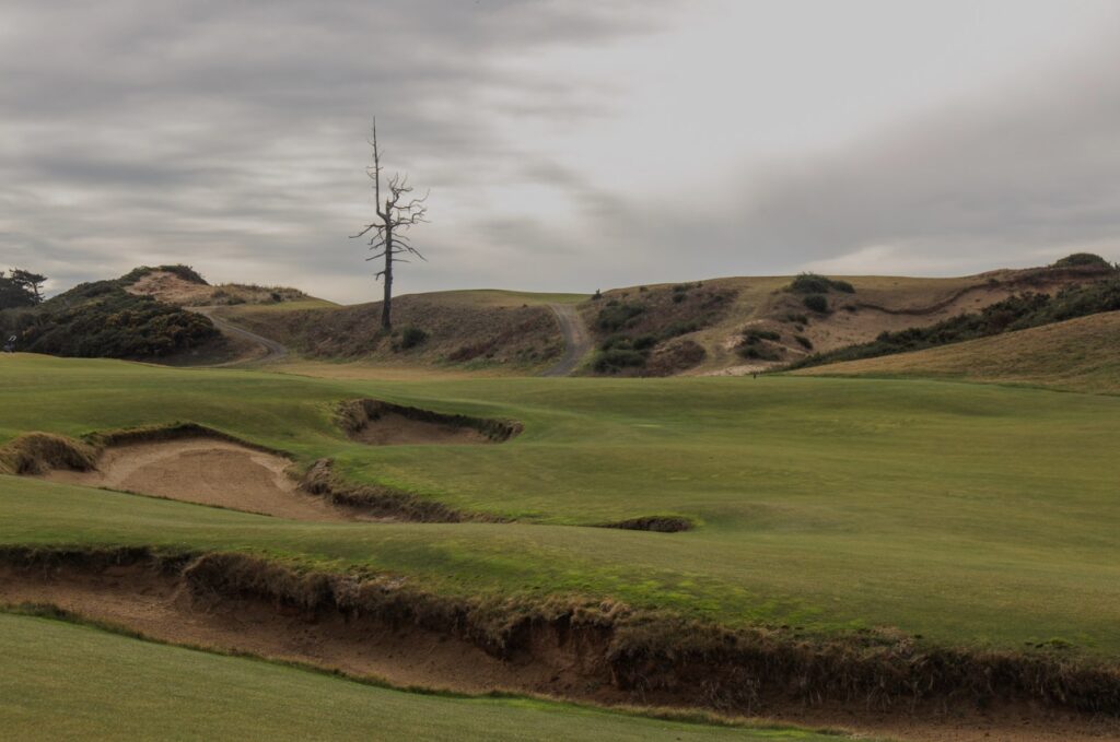 old mcdonald golf course