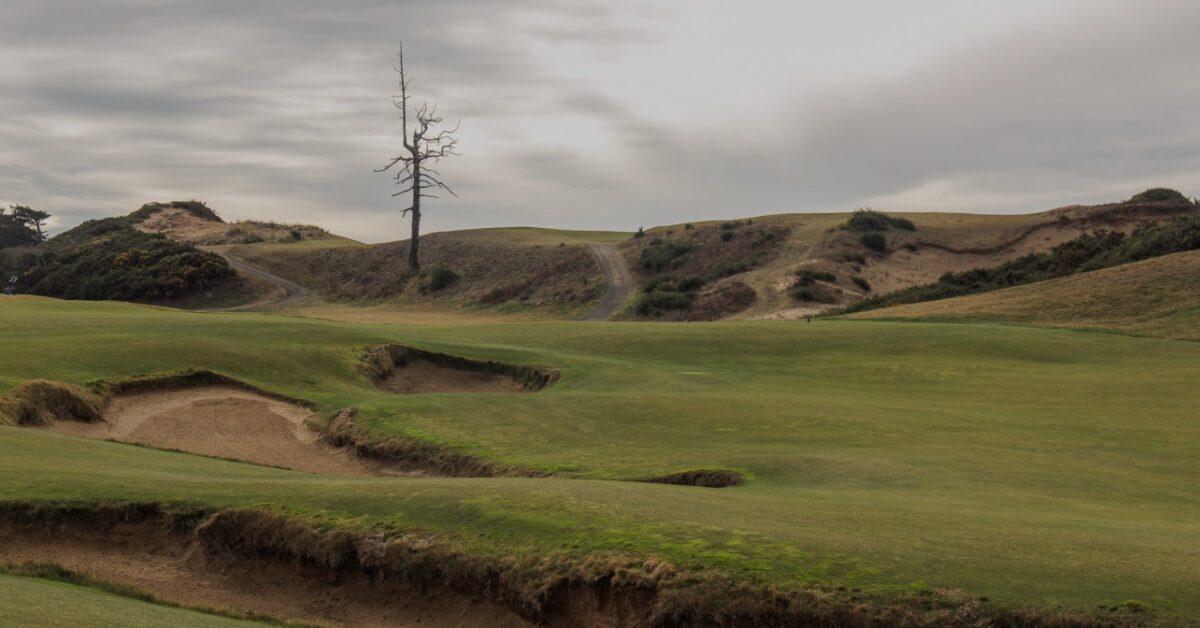 old mcdonald golf course