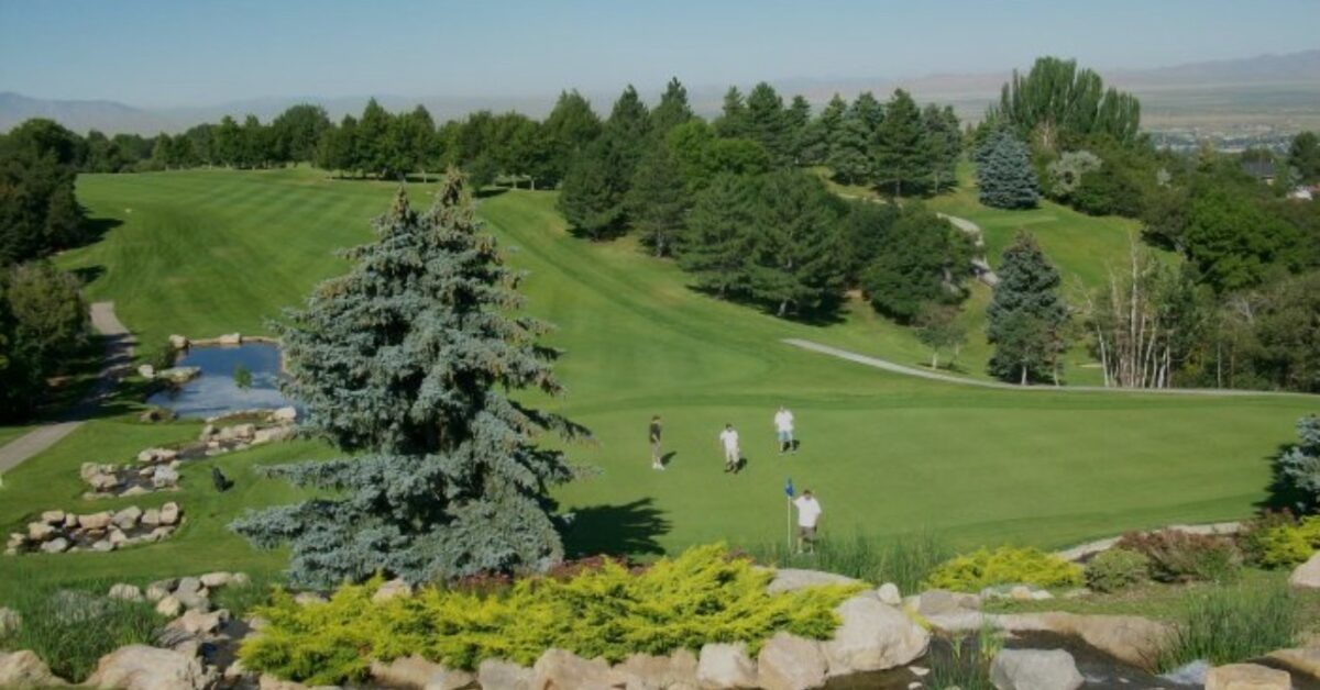 davis park golf course