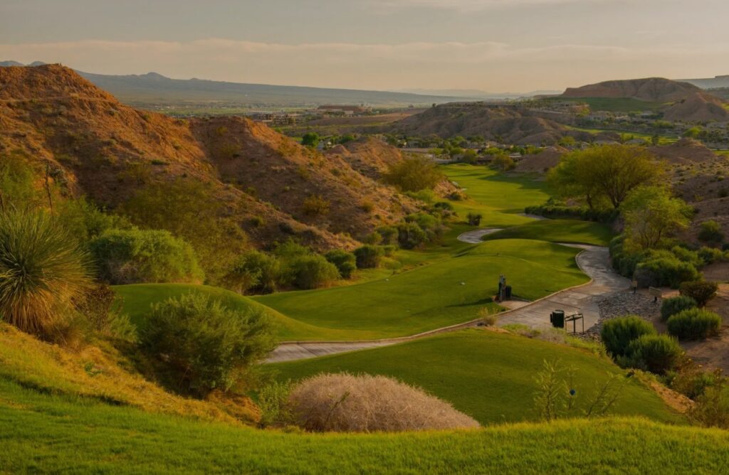 oasis golf club palmer course